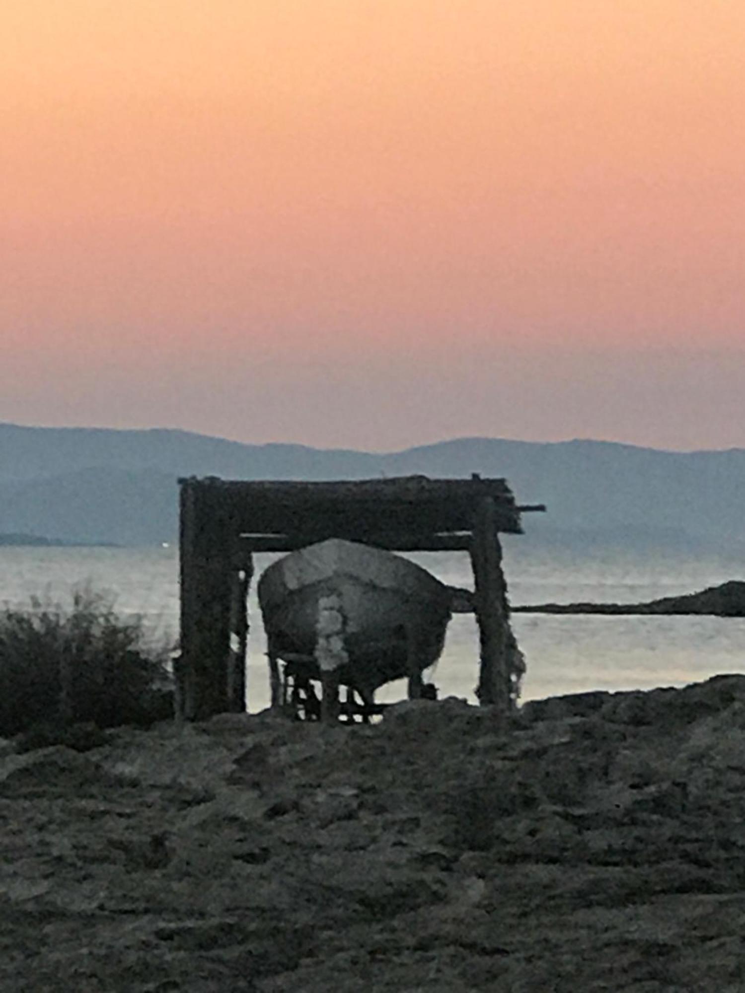 Es Pujols Vista Mare Leilighet Eksteriør bilde